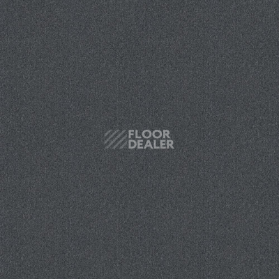 Ковровая плитка Forbo Tessera basis pro 4354 Dark Grey фото 1 | FLOORDEALER